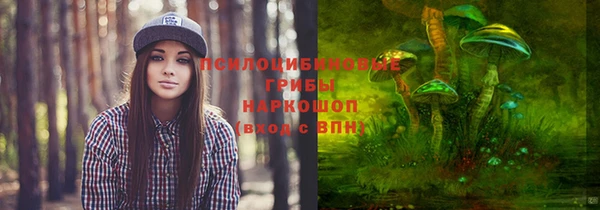 дурь Бородино