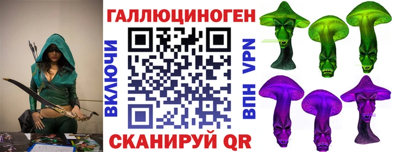 Галлюциногенные грибы GOLDEN TEACHER  darknet телеграм  Дмитриев  ОМГ ОМГ онион 